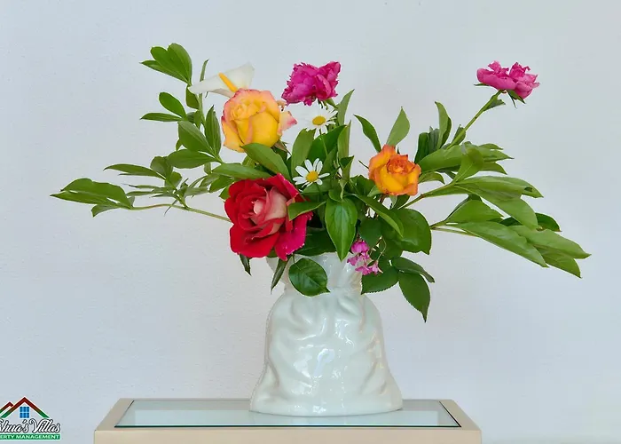 Villa Rosa With Air Conditioning And View Lierna